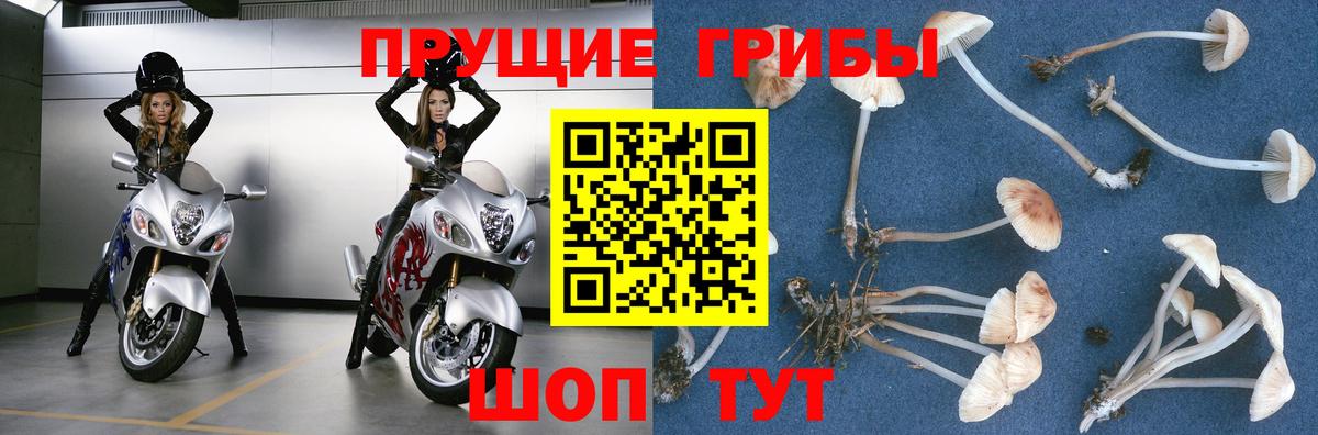 Псилоцибиновые грибы прущие грибы  Вход с VPN  Галлюциногенные грибы MAGIC MUSHROOMS  Каспийск 